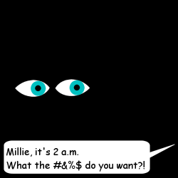 Millie, it's 2 a.m. What the #&%$ do you want?!